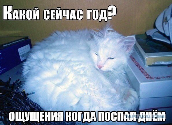 Веселые картинки на пятницу