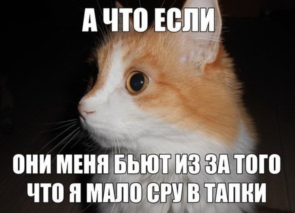 Всякое разное из соцсетей