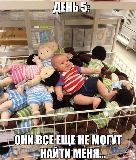 Смешные картинки и комментарии из сети