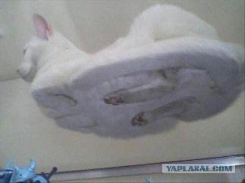 Эмммм....  Я прям в замешательстве.
