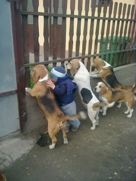 Так себе мангальчик