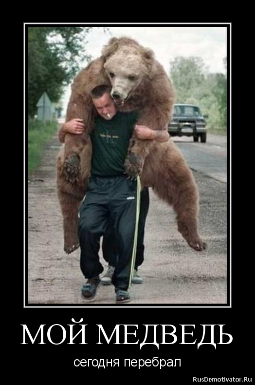 Почему русские терпят. Медведь. Русский медведь демотиватор. Русский медведь мемы. Мужчина медведь.