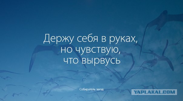 Почему нельзя общаться с бывшими