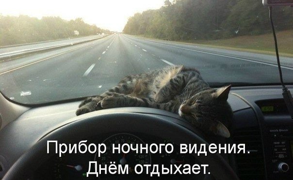 Веселые картинки