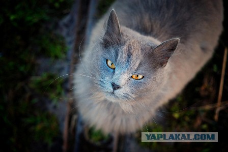 Разные картинки