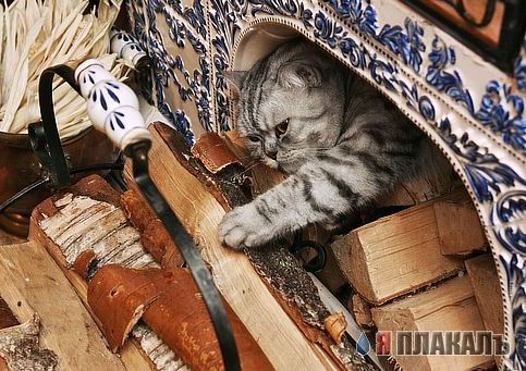 Спешл фо Армати)))