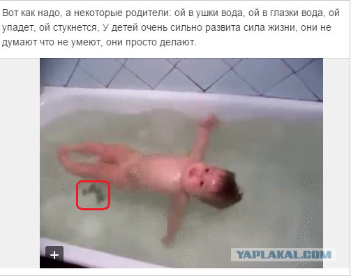 Дайвер