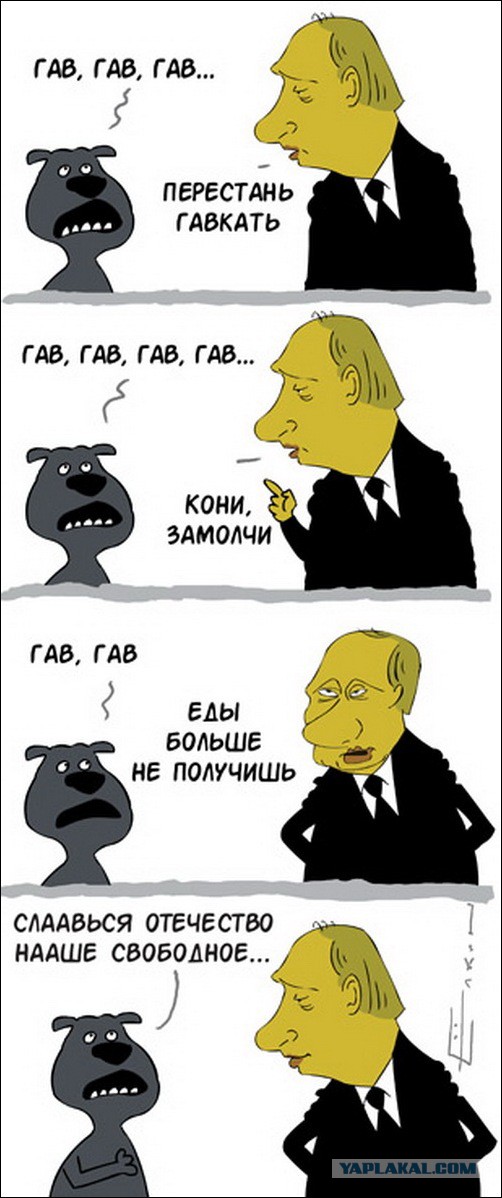 Карикатуры от Студии 13