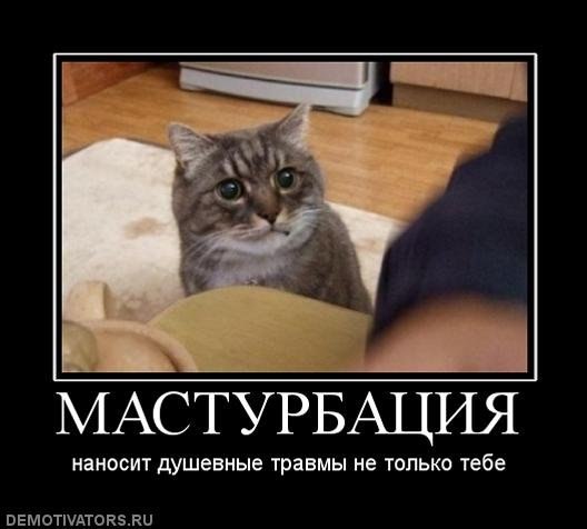 40 улыбательных картинок