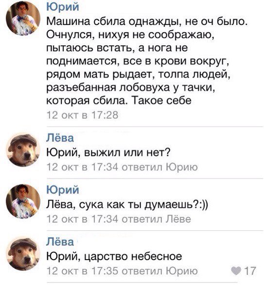 Ужасы и приколы из соцсетей 18+