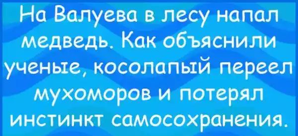 Кличко упал с велосипеда