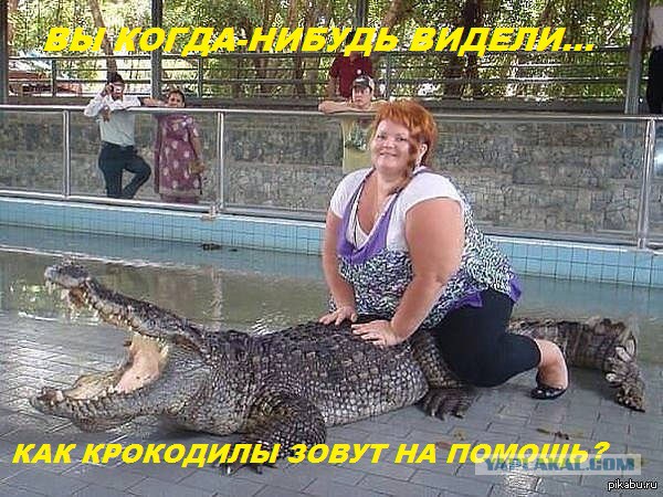 Смешные комментарии из социальных сетей 11.11.2016