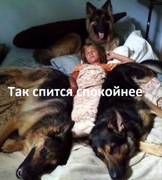 Весёлые картинки 13.01.2017