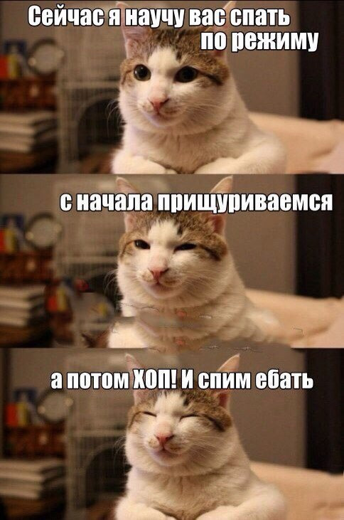 Идиотские советы