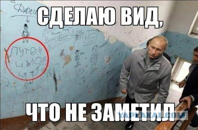 «Единая Россия» разрешила осуждённым кандидатам выдвигаться на выборы в региональные органы власти