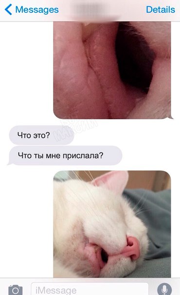 Картинки в понедельник