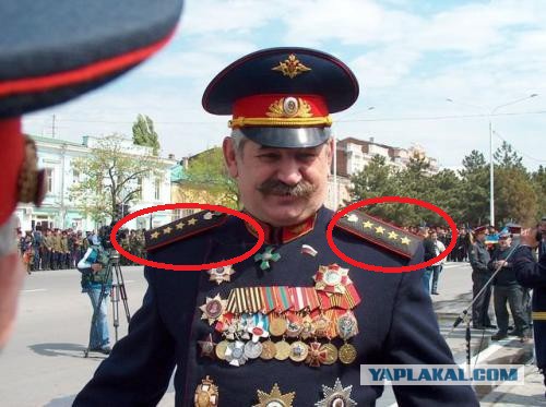 Что вы знаете о понтах?