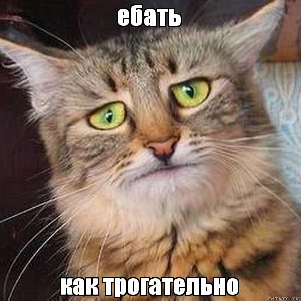 Президент Путин подписал указ о снижении зарплаты президента России в 2018 году