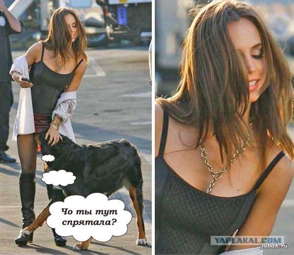 Апскёртинг