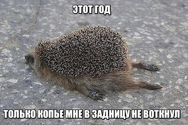 24 картинки с надписями на разные темы-2