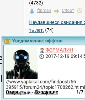 Беседка ФиС ЯПа 2