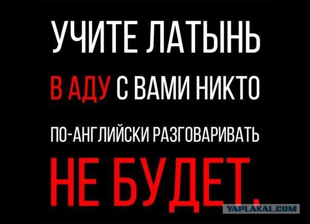 Подборка разного из сети