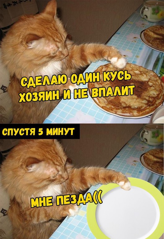 Человек эпохи разложения