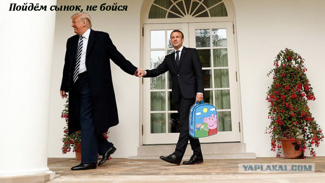 Сажающие дерево Трамп и Макрон превратились в мем