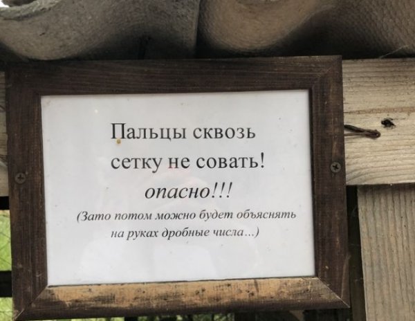 Подборка интересных и веселых картинок