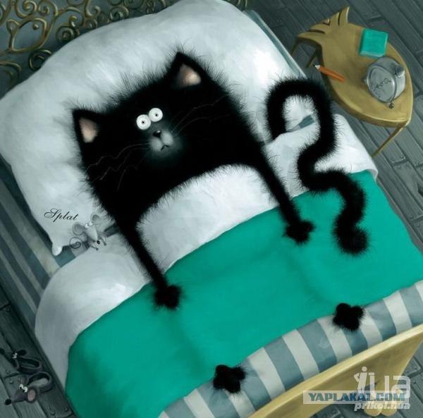 Котовторник 13.12.11 - магическе числа