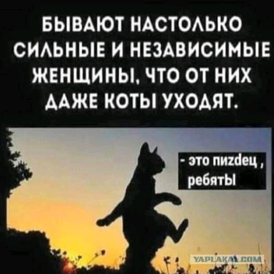 Пойду к феминистке на роль кота.