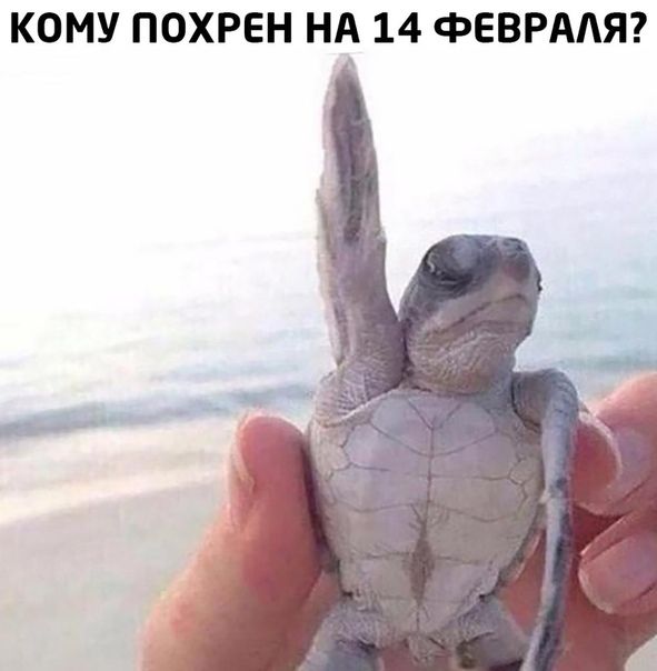 Юмор на любителя