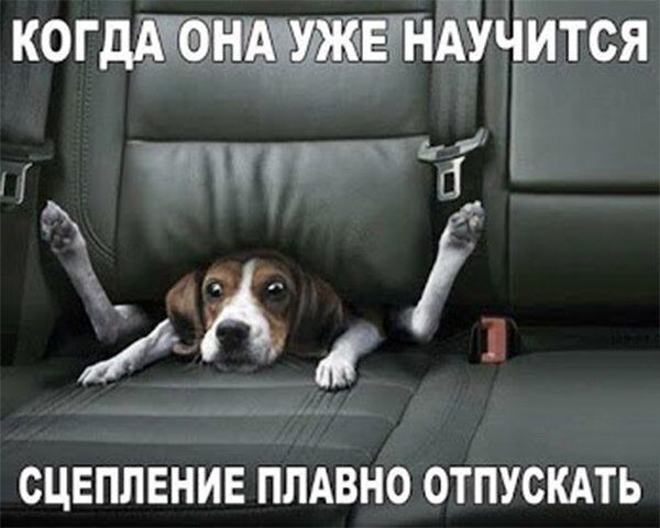 Картинки всякие
