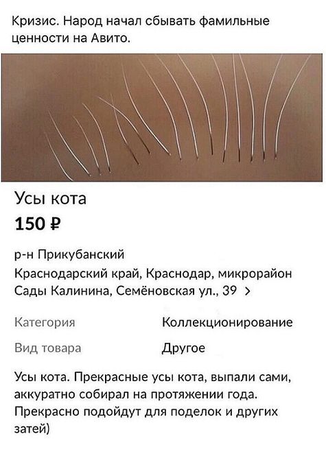 Аналог "40 кошек": Парень тратит по несколько часов в день, чтобы полить 1400 растений в квартире