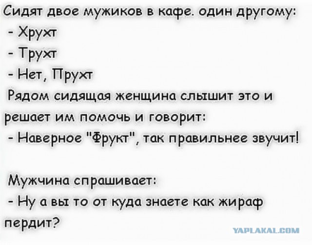 Ты когда-нибудь слышал, как чихает курица?