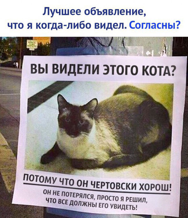 Бредзона 01.05.20