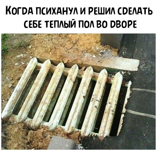 Пазитивные картинки на 13.06.2020
