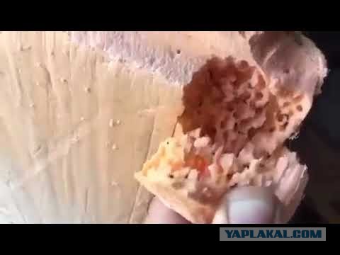 А Вы видели как выглядит напыляемая теплоизоляция?