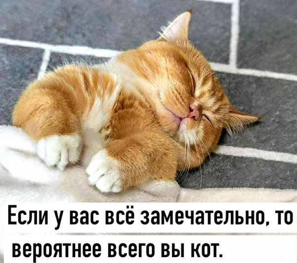 Немного картинок для настроения 20.08.20