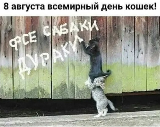 Бредзона 21.08.2020