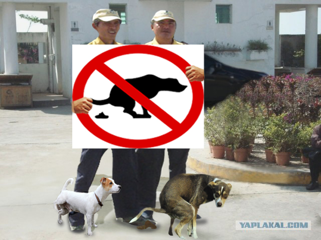 Крутые китайские мэны