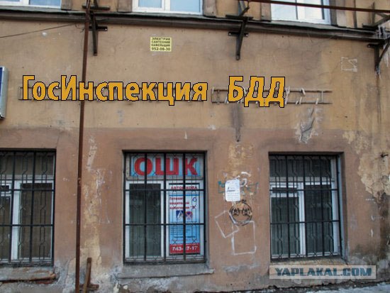 Фотожаба: Вставьте пропущенные буквы