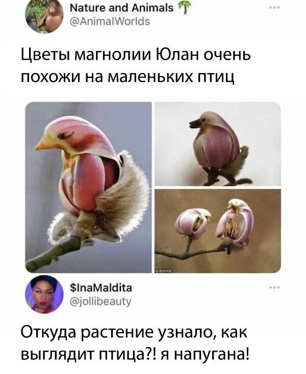 Картинки и мемы для настроения