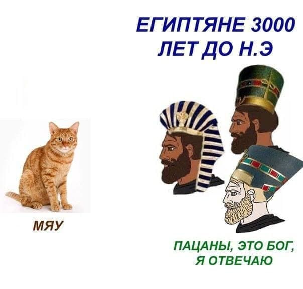 Котэбастовка!