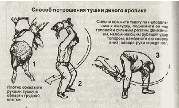 Штраф за крота
