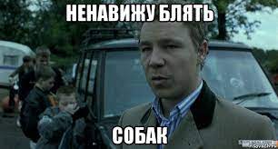 Петербуржец накрыл собой собачонку, чтобы спасти от бойцовских псов