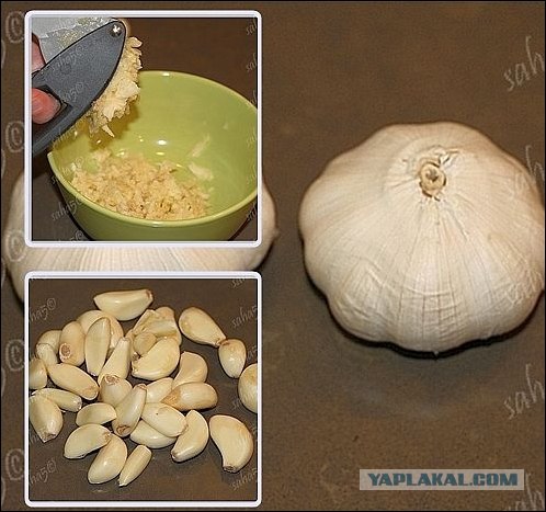 Шавля с чесночным соусом
