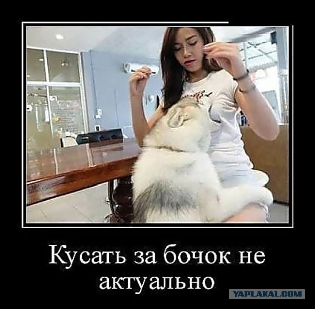 Так себе картинки 27.08.21