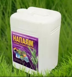 Когда снимаешь рекламу шампуня с соблюдением норм ислама