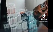 Тайсон всё ещё может!